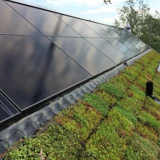 Kyroof nokvorst in combinatie met sedum dakpannen