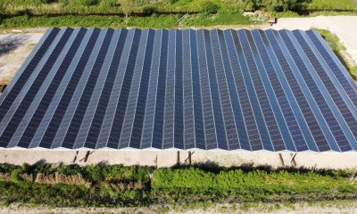 Nieuw! De Sunpark overkapping