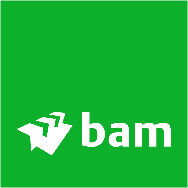 BAM Energy Systems